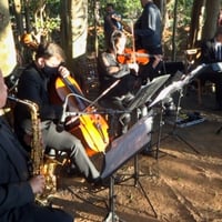 Orquestra Mamadoc