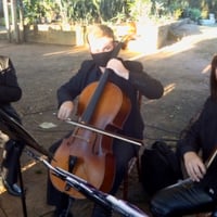 Orquestra Mamadoc