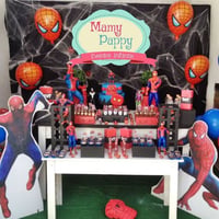 Homem Aranha Festa Infantil Provençal