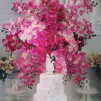Decoração Orquideas