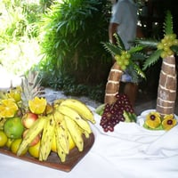 mesa tropical