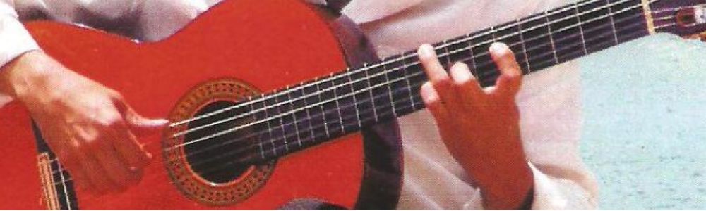 Musica Ao Vivo para festas, casamentos, reveillon e eventos diversos