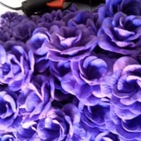 rosas