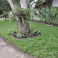 Jardim da chácara.