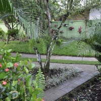 Jardim da chácara.