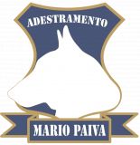 mariopaiva