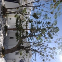 Grecia 1