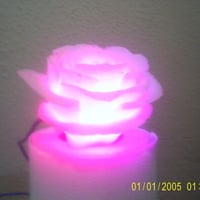 Rosa luminosa rgb para decoração