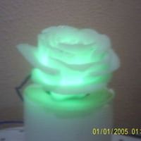 Rosa luminosa rgb para decoração
