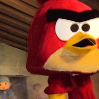 Angry birds