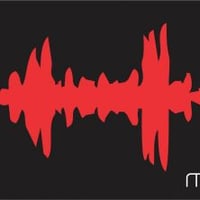 LOCUTOR PUBLICITARIO