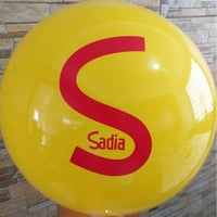 Bola de Vinil personalizada 38cm