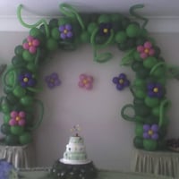 Arco de bexiga