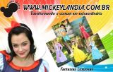 mickeylandia