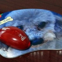 Mouse-pad do Cãozinho