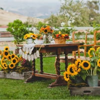 CASAMENTO CAMPESTRE