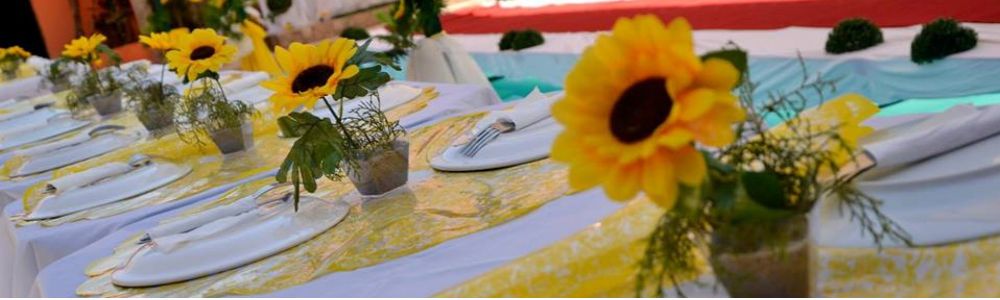 M&M´s Eventos e Assessoria