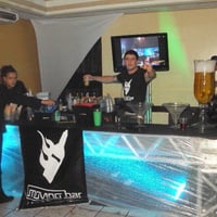 SHOWS