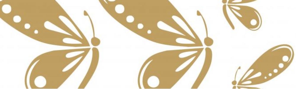 M.P. Bolos Decorados