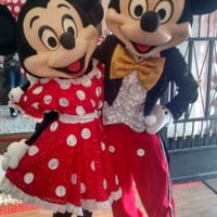 MICKEY E MINIE