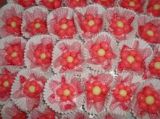 nahdocinhos