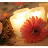 Nani Eventos - Assessoria e Cerimonial