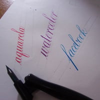 Várias cores.