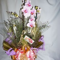 Orquídea