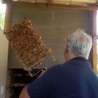 vai uma asinha ai?