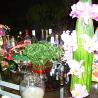 CASA DE FESTA