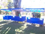 pingodegente