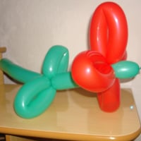 Flor