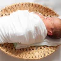 Newborn