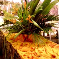 DECORAÇÃO
