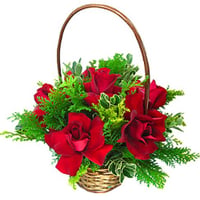 Cesta de rosas importadas