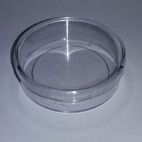 POTINHO DE ACRÍLICO 5cm X 1,5cm TRANSPARENTE INCOLOR - https://www.pravoceshop.com.br
