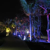 Luz decorativa