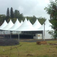 Seis Tendas Chapéu de Bruxa 10x10 Conjugadas