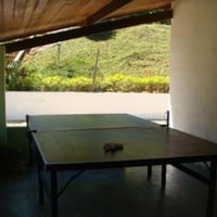 PING-PONG