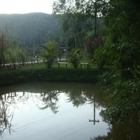 LAGO