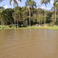 Lago