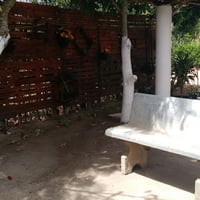 jardim