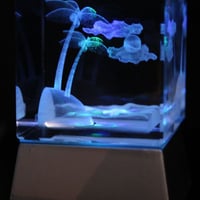 Cristal Quadrado + Base Quadrada com led