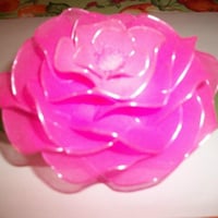 Rosa meia de seda no sabonete.