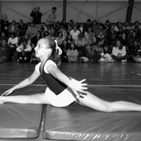 Ginastica Artistica