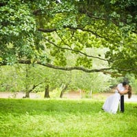 trash the dress