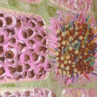 docinhos