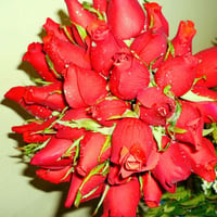 bouquet de noiva