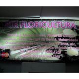 rtrdecoracoes
