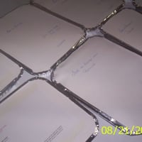 congelados